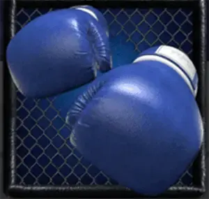 Cage Fight สัญลักษณ์ 5