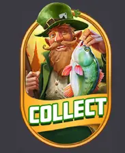 COLLECT เงินสด 1