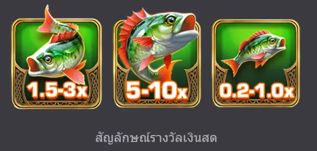 COLLECT เงินสด 2