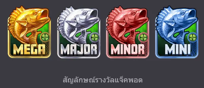 COLLECT เงินสด 3