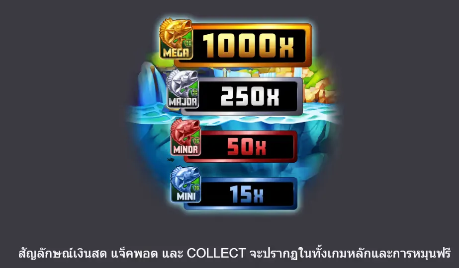 COLLECT เงินสด 4
