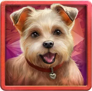Diamond Doggies สัญลักษณ์ 5