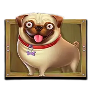 The Dog House Megaways สัญลักษณ์ 5