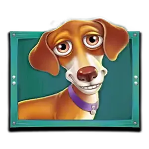 The Dog House Megaways สัญลักษณ์ 6
