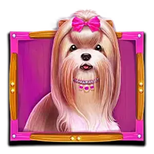The Dog House Megaways สัญลักษณ์ 4