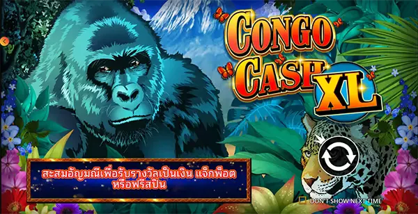 Congo Cash XL ภาพเกม 2