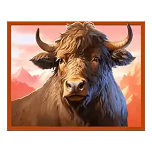 Himalayan Wild สัญลักษณ์ 3