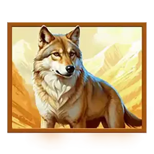 Himalayan Wild สัญลักษณ์ 4