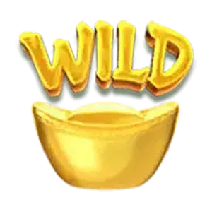 สัญลักษณ์ WILD 1